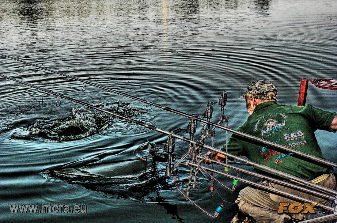 MeetCarp Romanian Awards 2013 (2) - 1017119hdrmode2-2.jpg